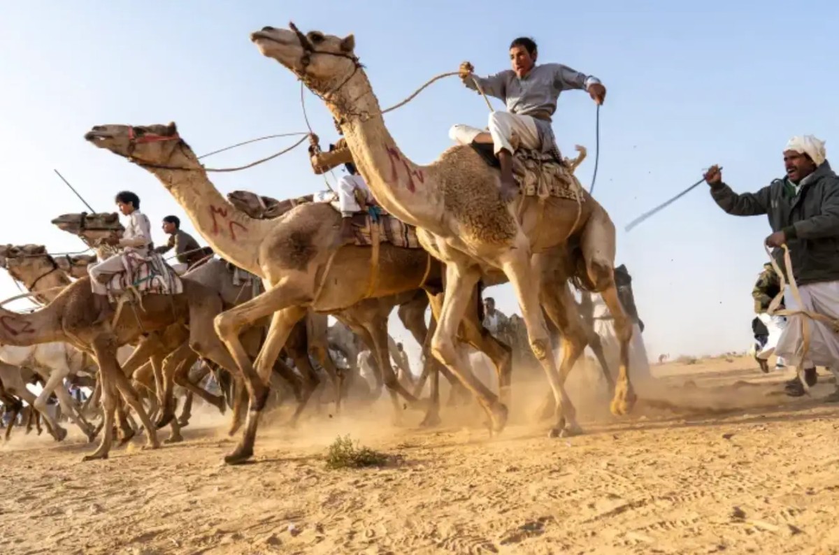 11位球星的“离谱”爱好,C罗的爱玩宾果游戏。